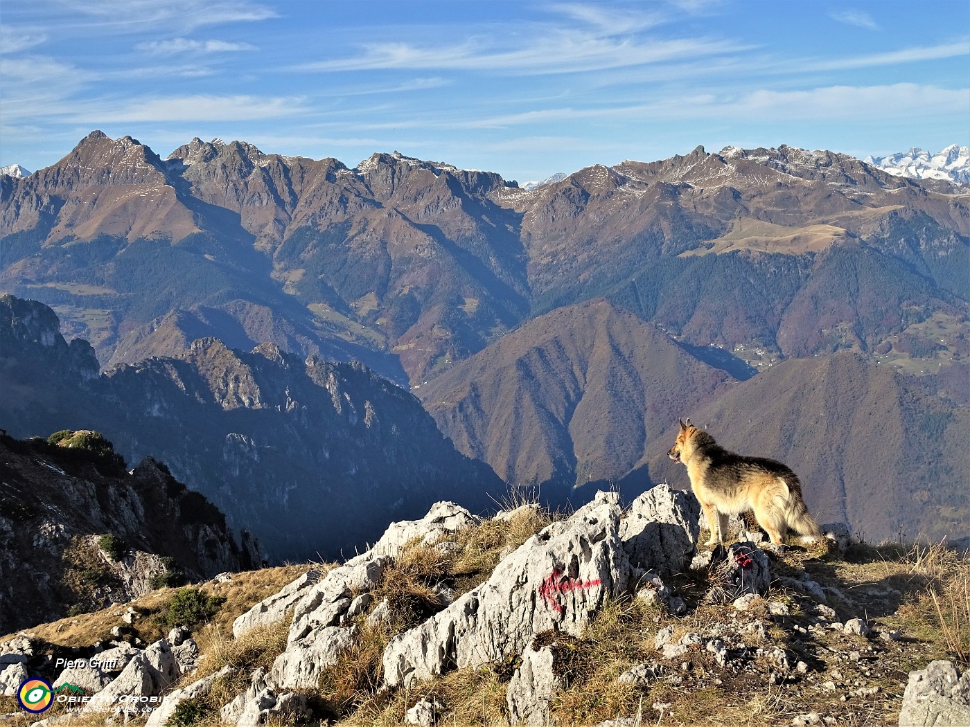 75 Dori perlustra la cima del Venturosa.JPG